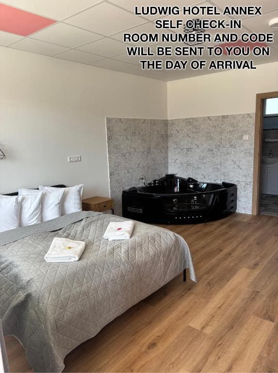 Ludwig Hotel Annex - Double Room with Spa Bath room - Image 1