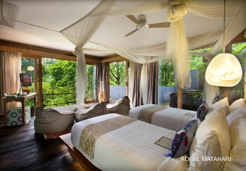 Ethnic Suite room - Image 2