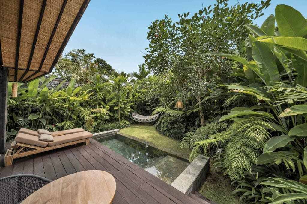 Premium Jabu with Plunge Pool room - Image 2