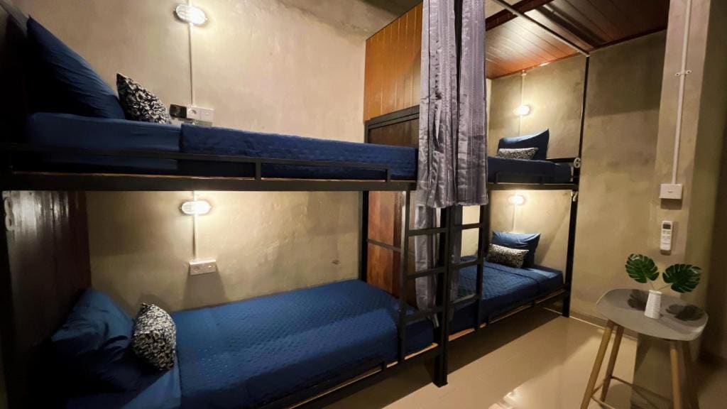 Bunk Bed in Mixed Dormitory Room room - Image 2