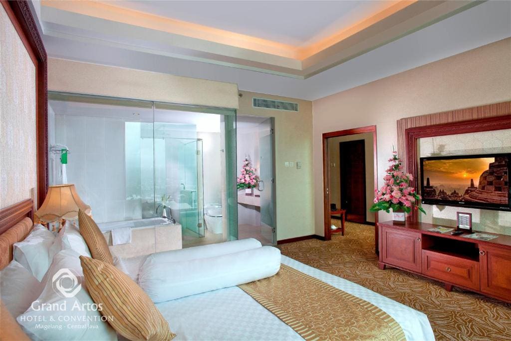 Executive Suite room - Image 1