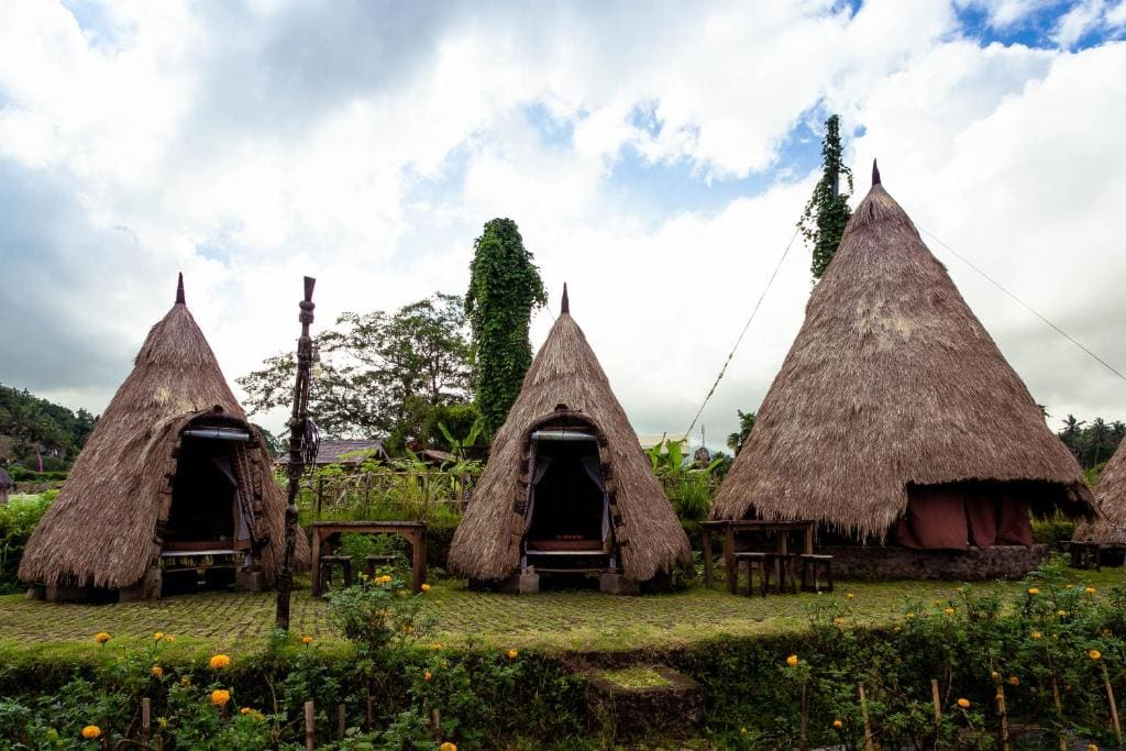 Standard Room with Trekking and Swing Package room - Image 1