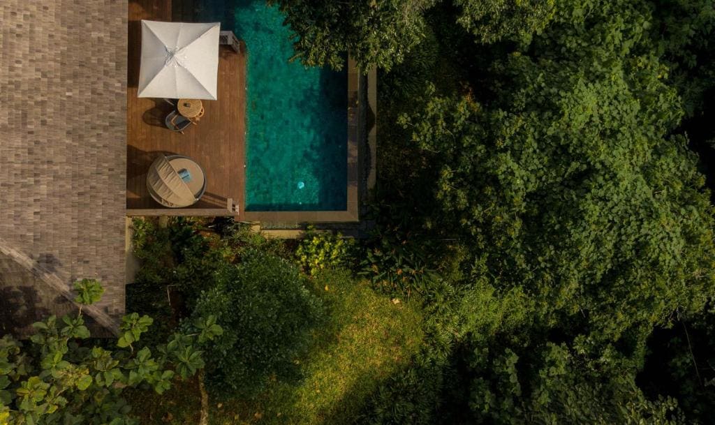 Jungle Pool Pavilion room - Image 3