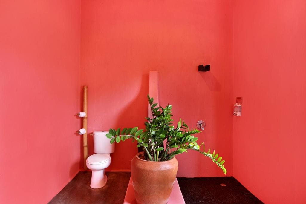 Grande Pool View - for Cool Adults Only room - Image 3