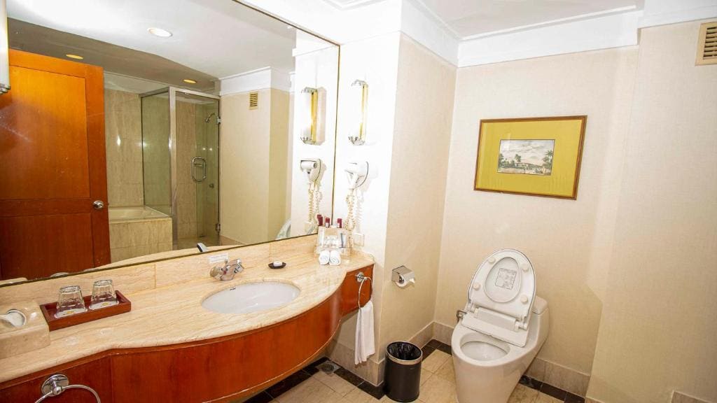 Plaza Club Suite room - Image 3