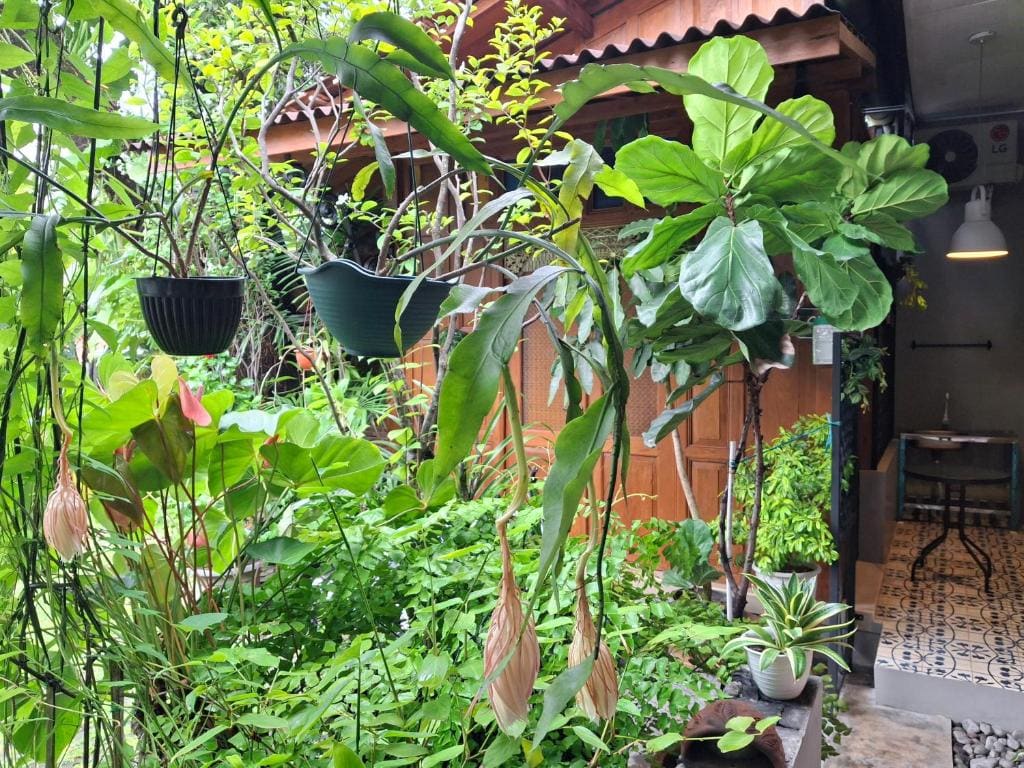 Double Room with Garden View room - Image 1