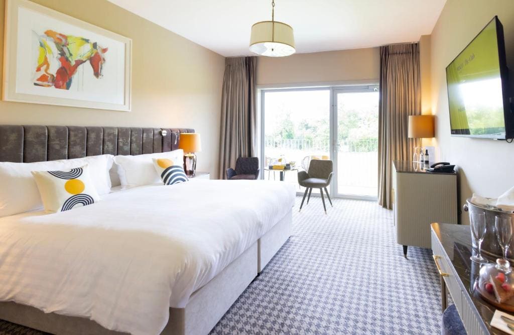 Standard King Room with Paddock View and Terrace - Accessible room - Image 2