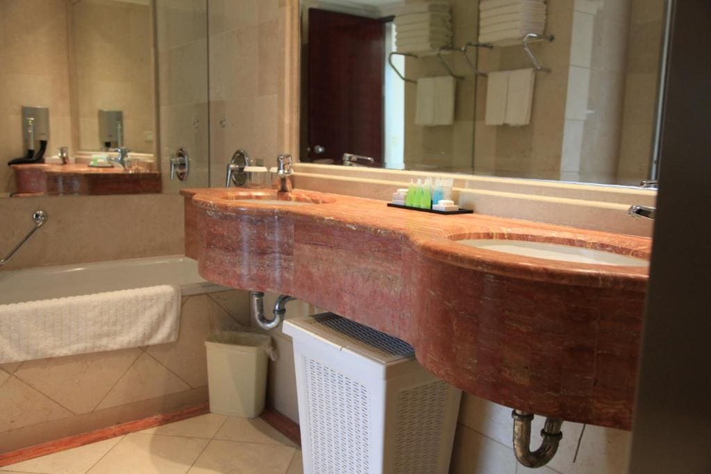 Deluxe Suite room - Image 2