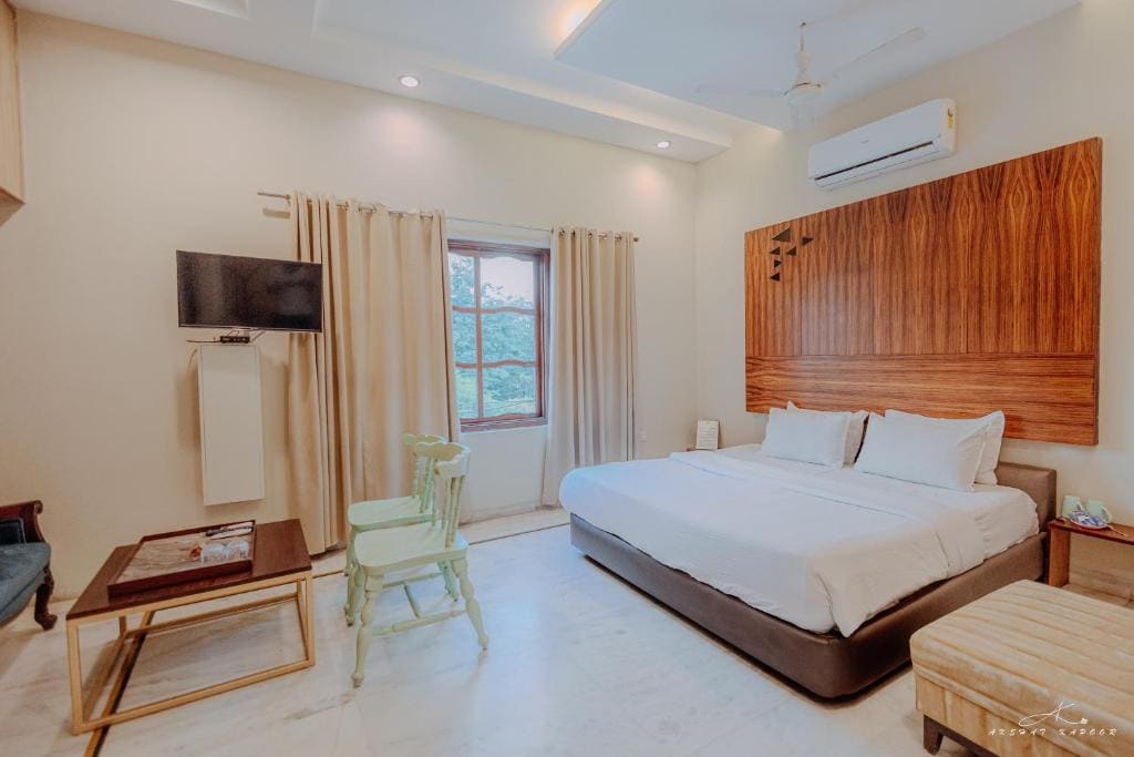 King Studio with Sofa Bed room - Image 3