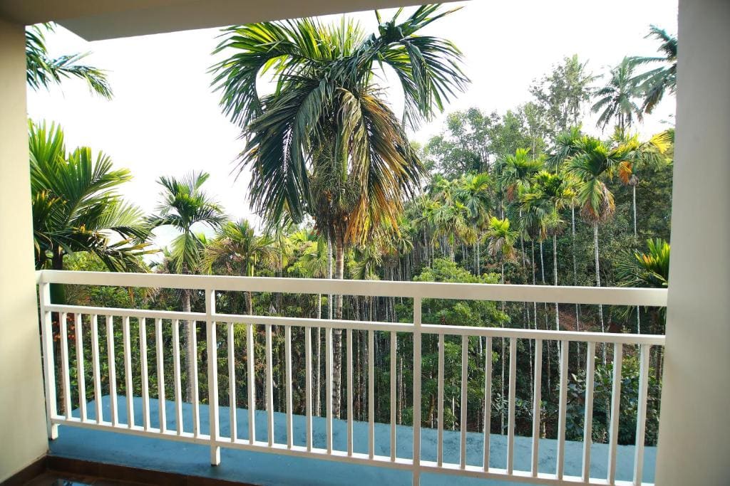 Deluxe Double Room with Balcony room - Image 1