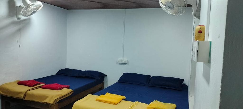6-Bed Mixed Dormitory Room room - Image 3