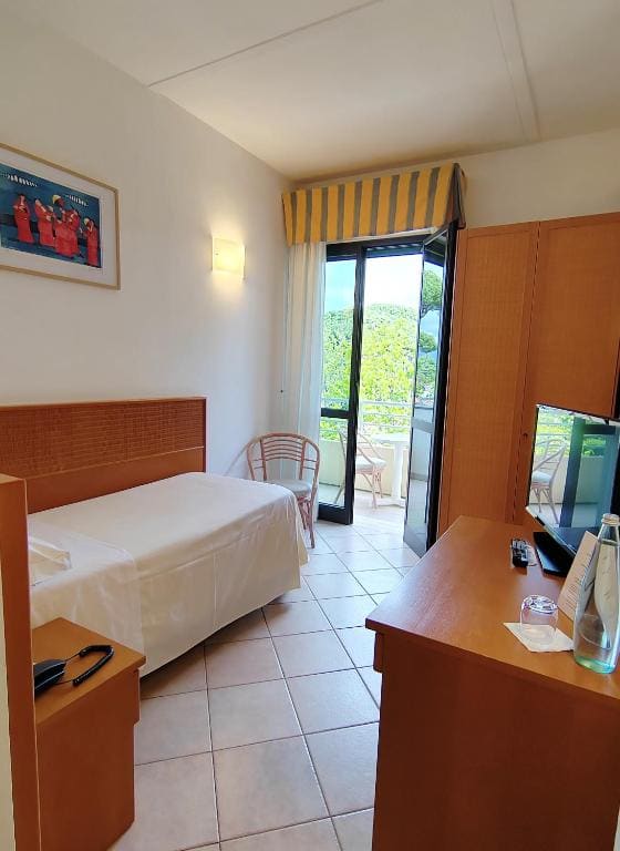 Standard Single Room with Mountain View room - Image 1