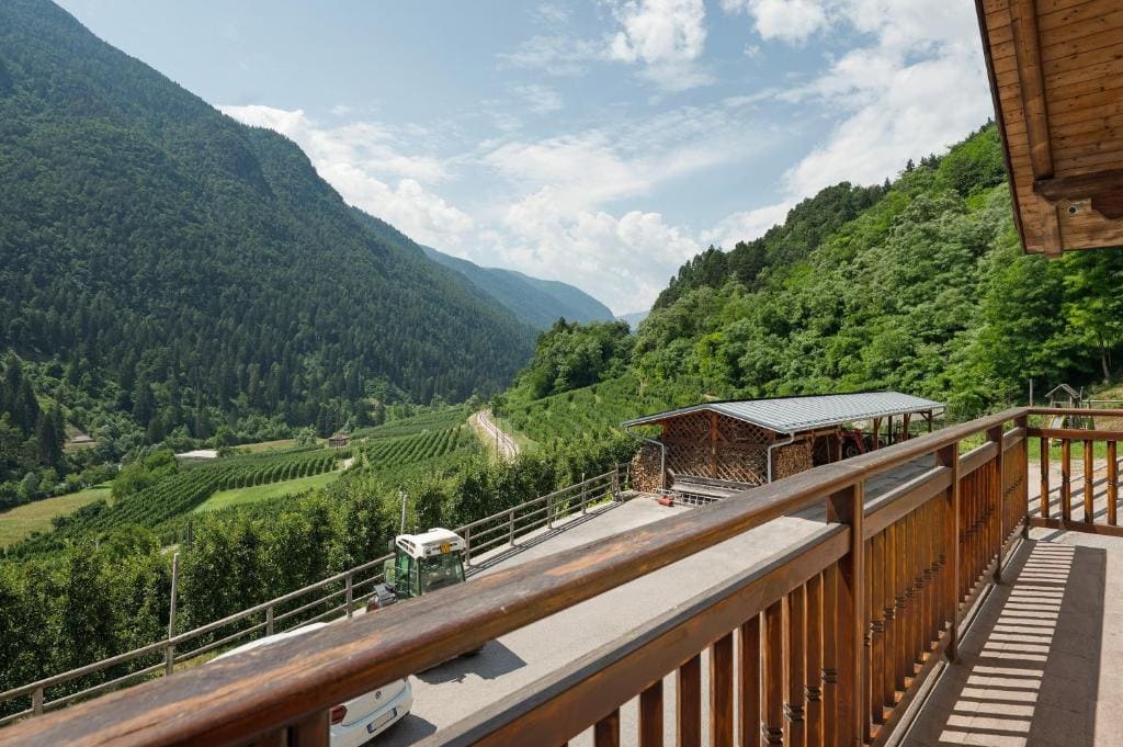 Three-Bedroom Premium Apartment with Balcony room - Image 2