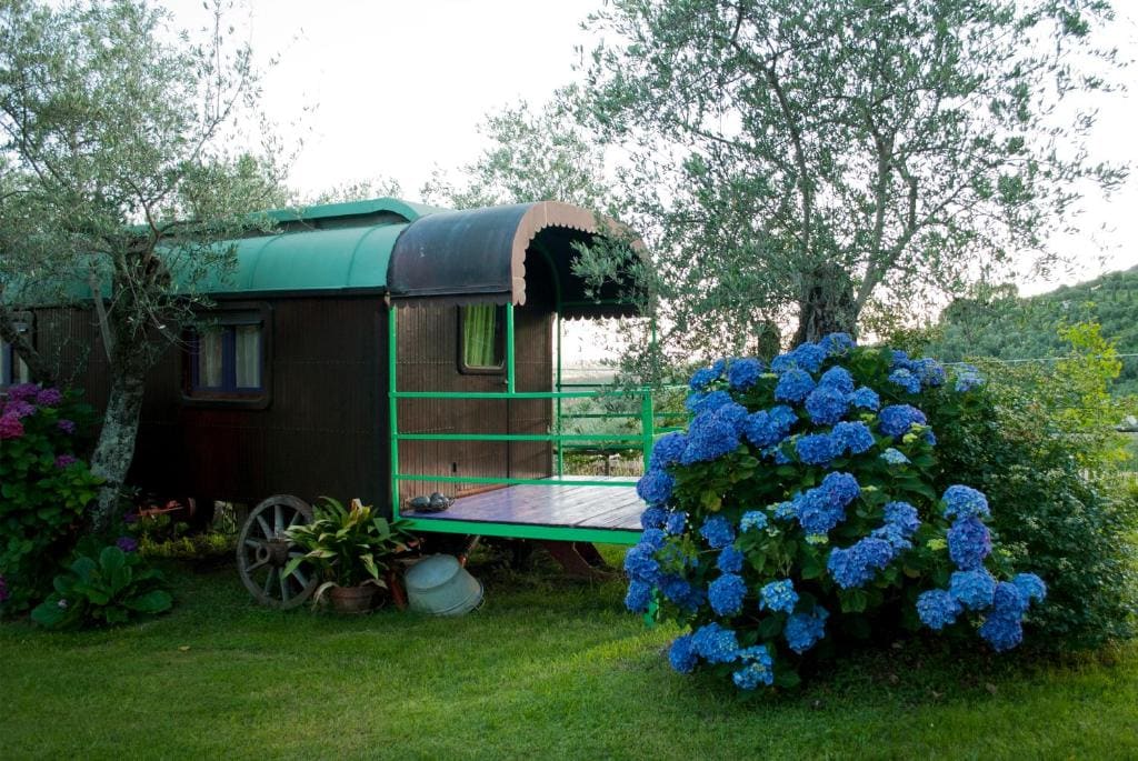 Caravan Standard room - Image 2