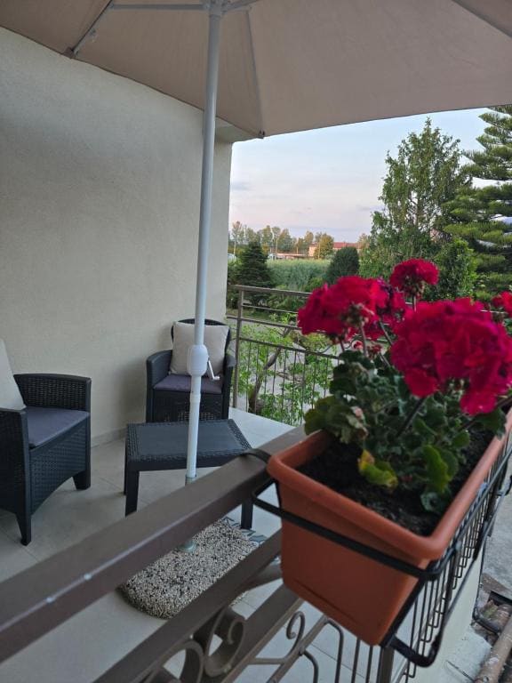 Quadruple Room with Terrace room - Image 2