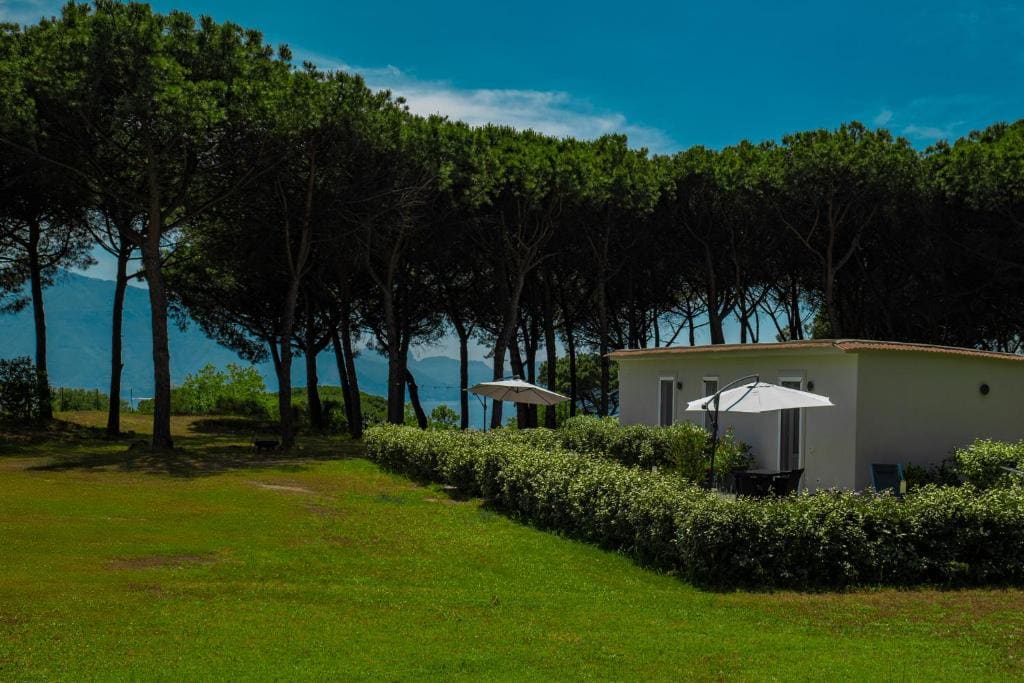 Double or Twin Room with Private Bathroom room - Image 3