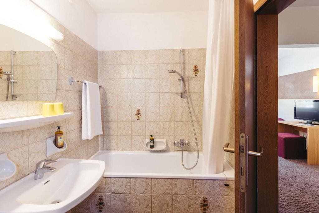 Large Double Room Annex without Balcony room - Image 3