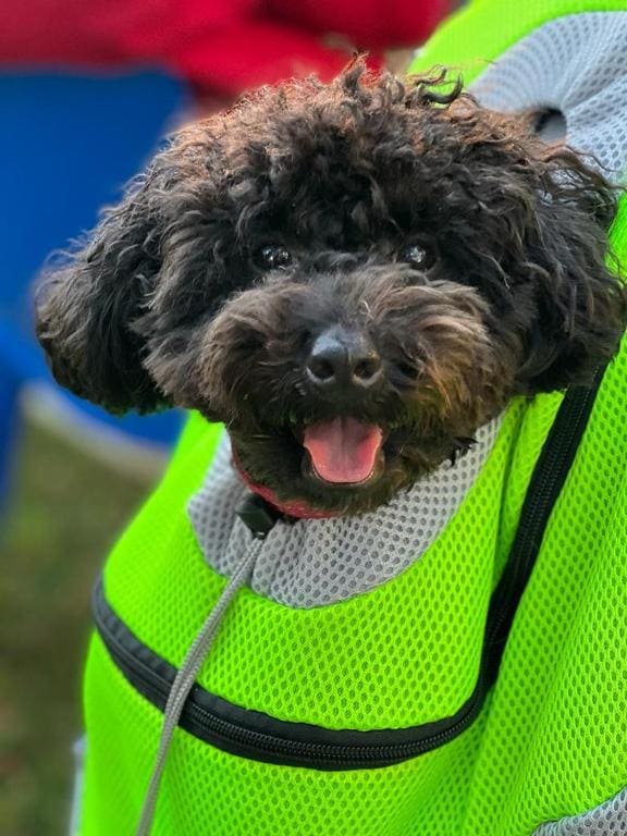Double Room with Private Bathroom room - Image 3