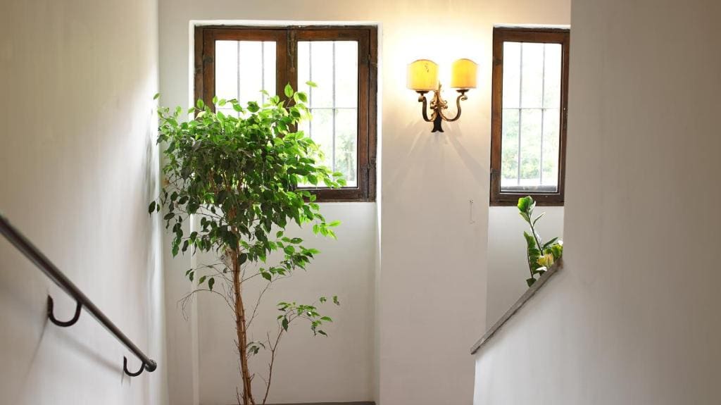 Deluxe Studio room - Image 3