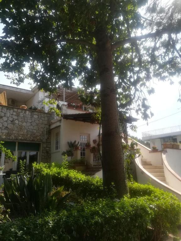 Double Room with Terrace room - Image 1