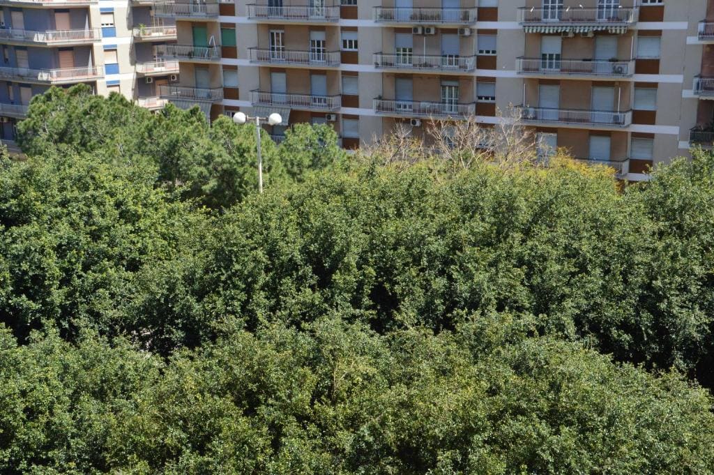 Double Room with Balcony room - Image 1