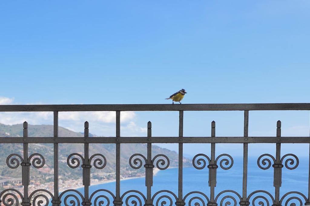 Superior Double with Sea View and Balcony room - Image 3