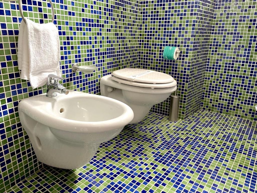 Deluxe Suite with Spa Bath room - Image 1