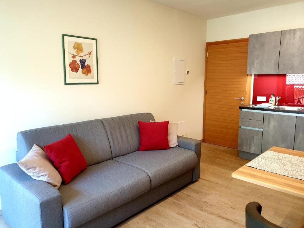 Apartment with Terrace room - Image 3