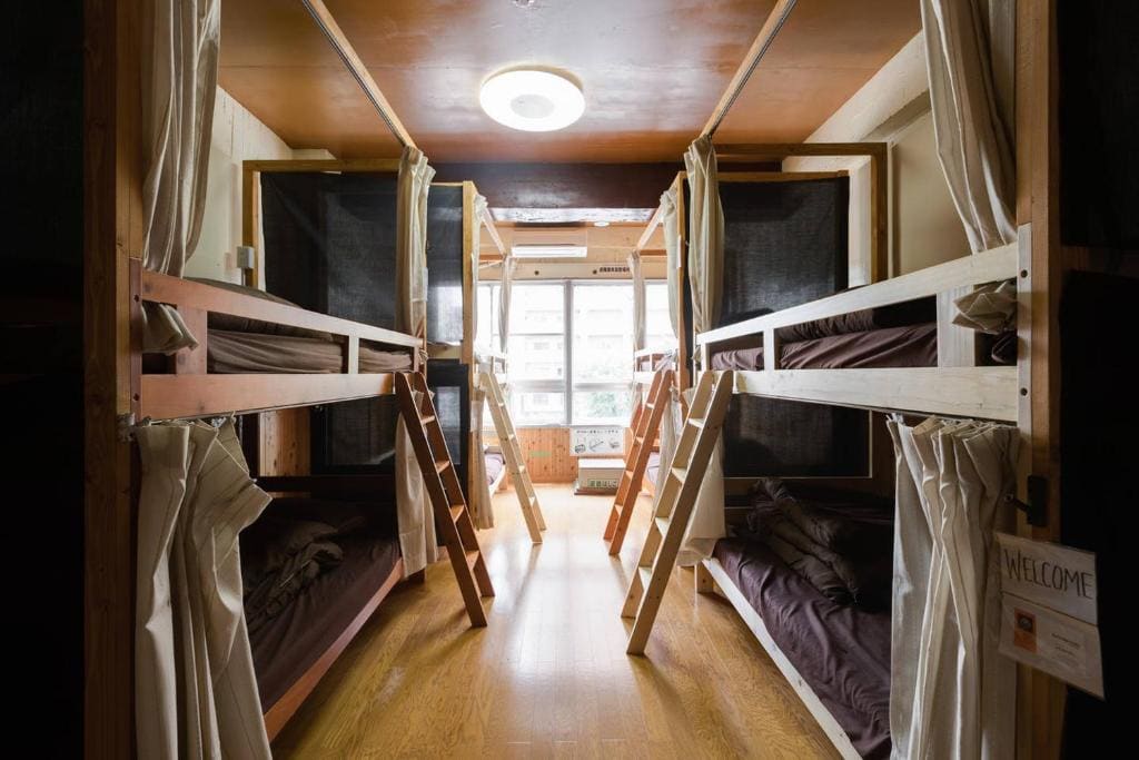 Bunk Bed in 12-Bed Mixed Dormitory Room room - Image 2