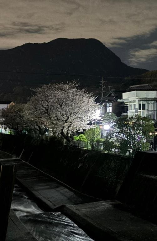 Standard Twin Room with Mountain View room - Image 1