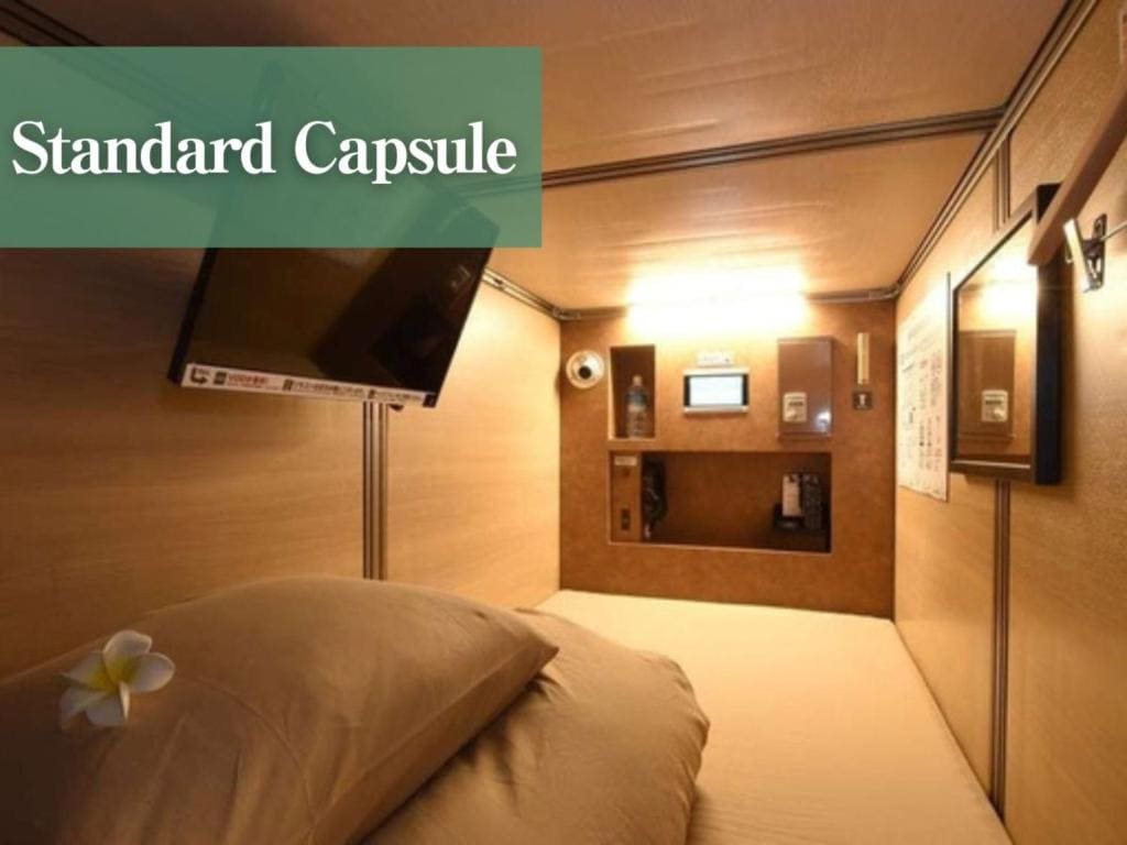 Single Bed in Female Dormitory Room room - Image 2