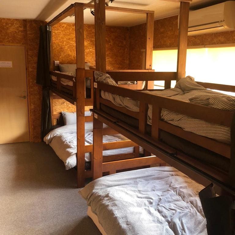 Bunk Bed in Mixed Dormitory Room room - Image 1