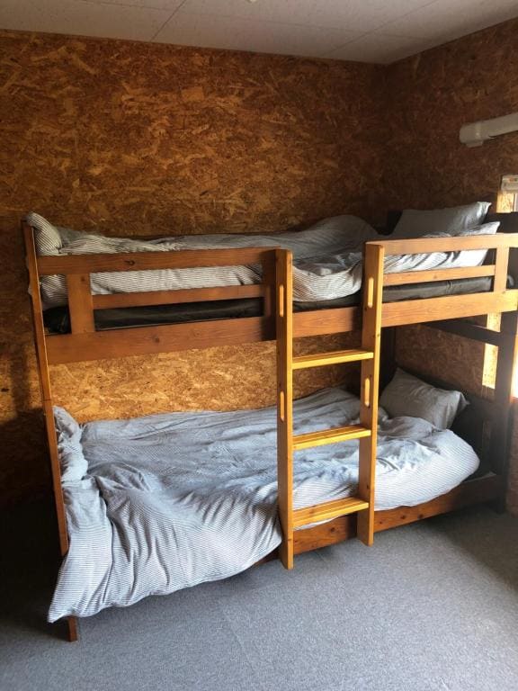 Bunk Bed in Mixed Dormitory Room room - Image 2