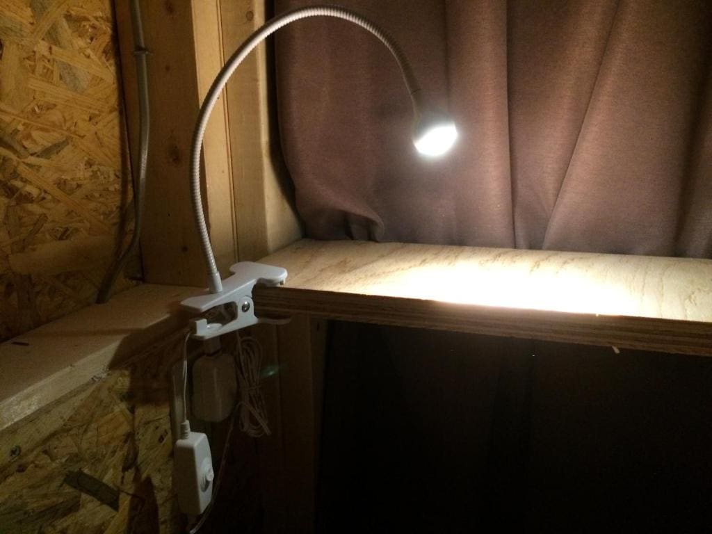 Bunk Bed in Mixed Dormitory Room - Non-Smoking room - Image 2