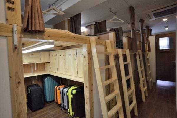 Bunk Bed in Mixed Dormitory Room room - Image 1