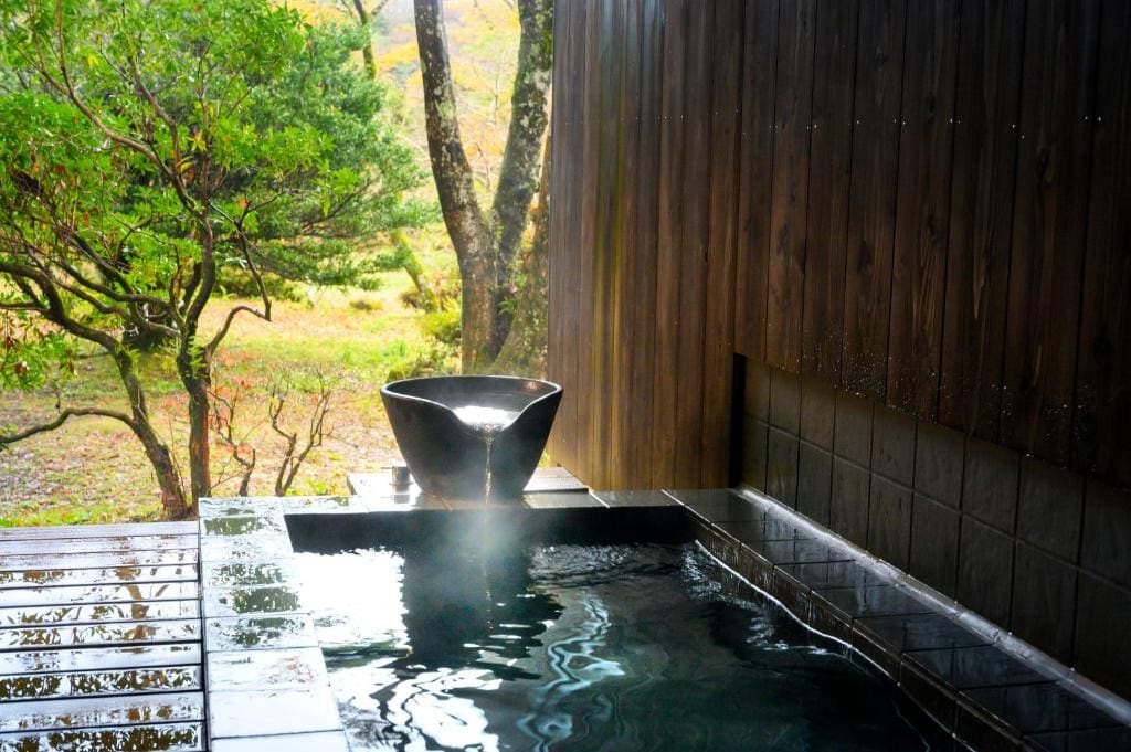Premium Room with Hot Spring Open-Air Bath "Tokiwa" room - Image 2