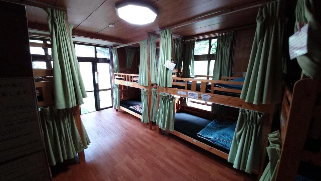 Bunk Bed in Mixed Dormitory Room room - Image 2