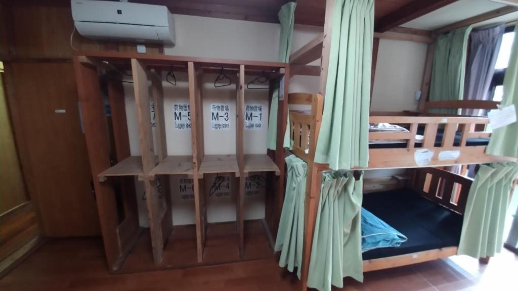 Bunk Bed in Mixed Dormitory Room room - Image 1