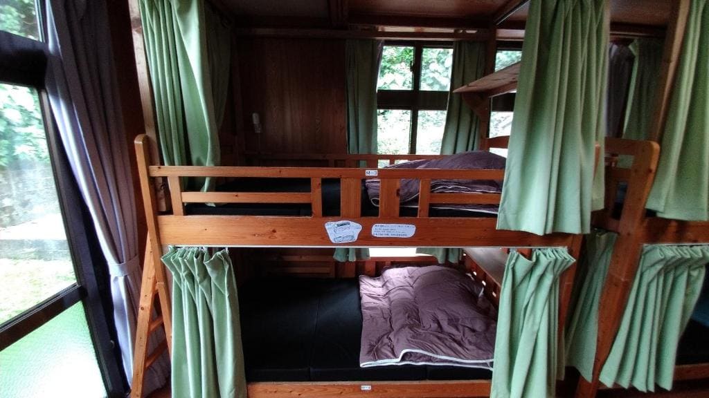 Bunk Bed in Mixed Dormitory Room room - Image 3