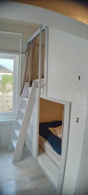 Bunk Bed in Mixed Dormitory Room room - Image 3