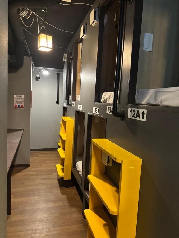 Bunk Bed in Mixed Dormitory Room room - Image 1