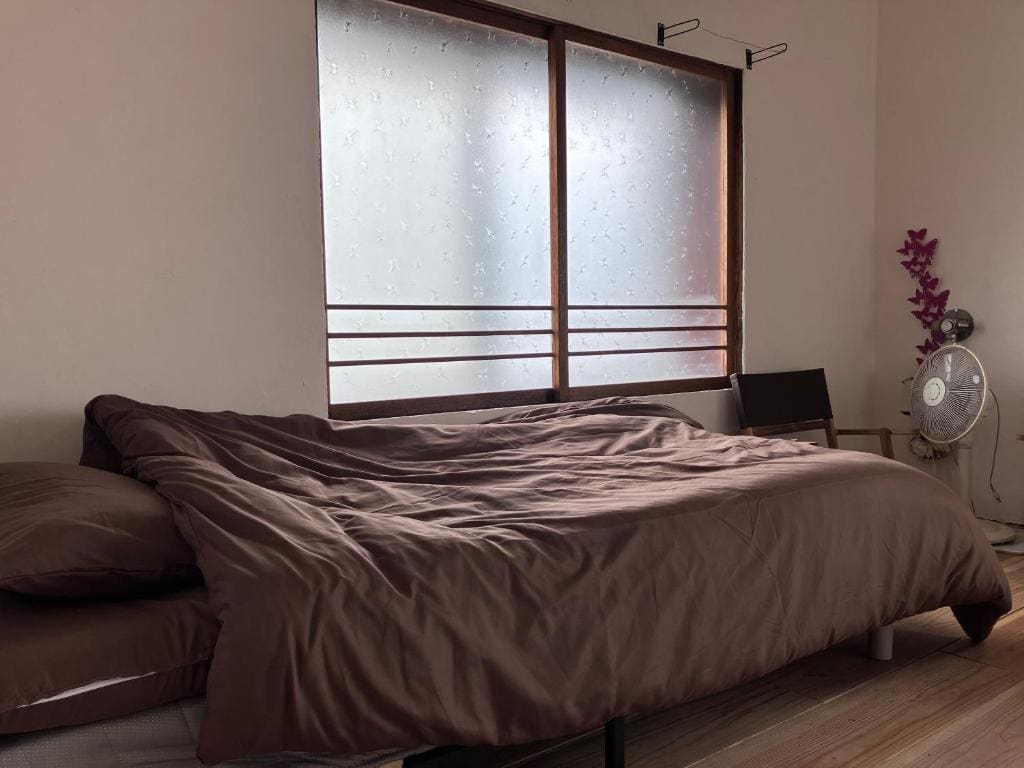Single Bed in Female Dormitory Room room - Image 1