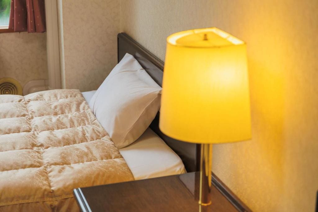 Deluxe Japanese Western Room - Non-Smoking room - Image 2