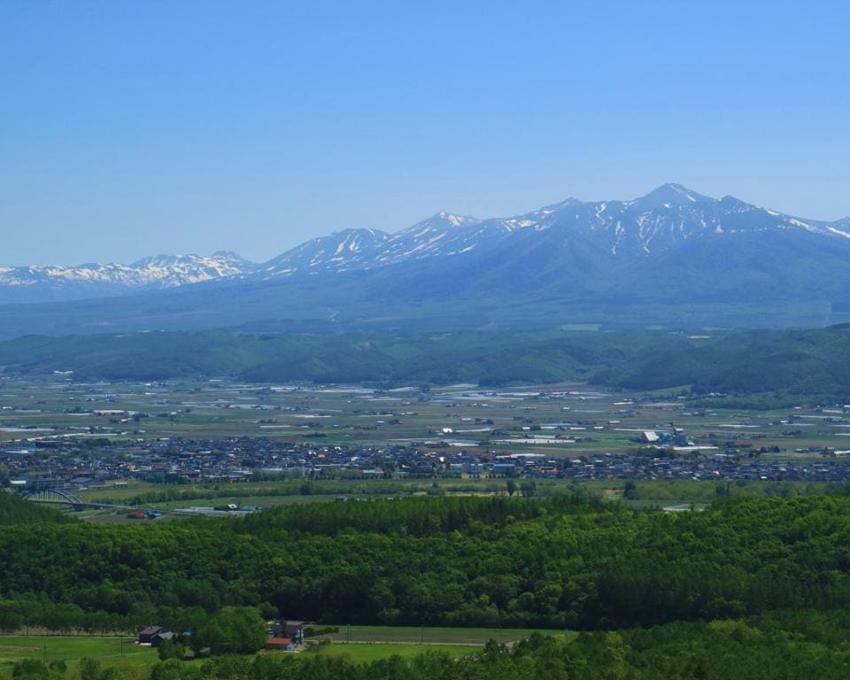 Standard Twin Room with Mt.Tokachi View - Upper Floor - Smoking room - Image 2
