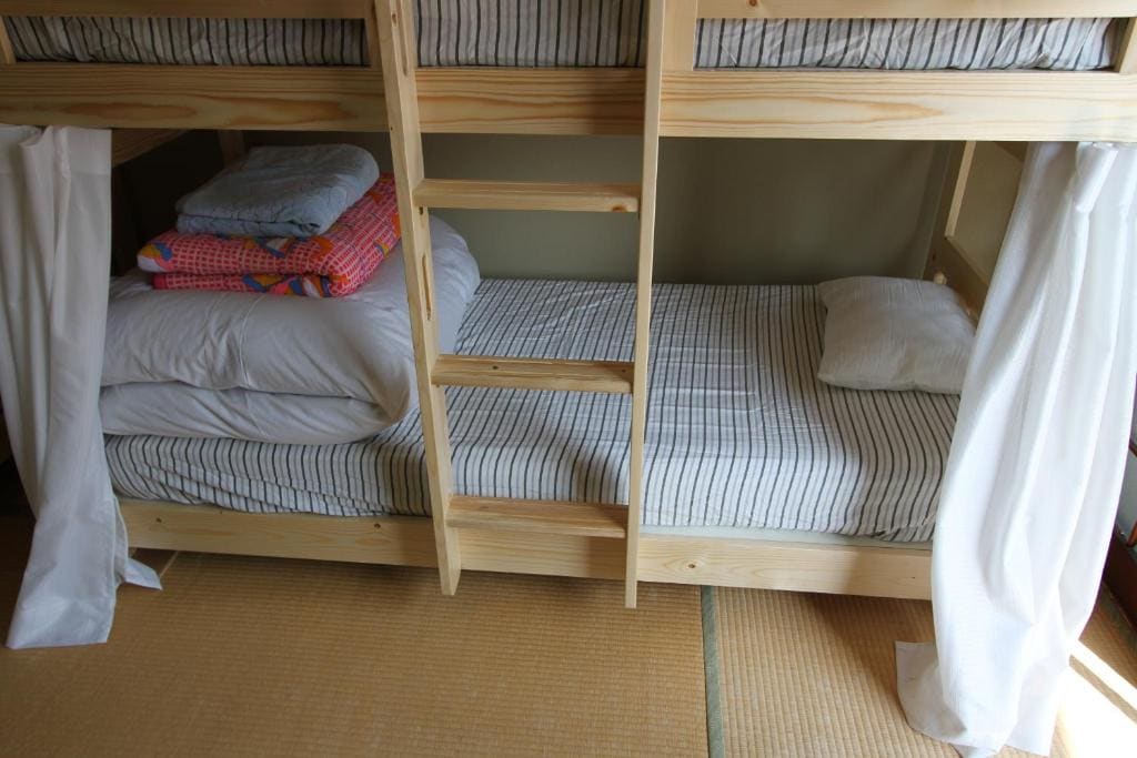Bunk Bed in Mixed Dormitory Room room - Image 1