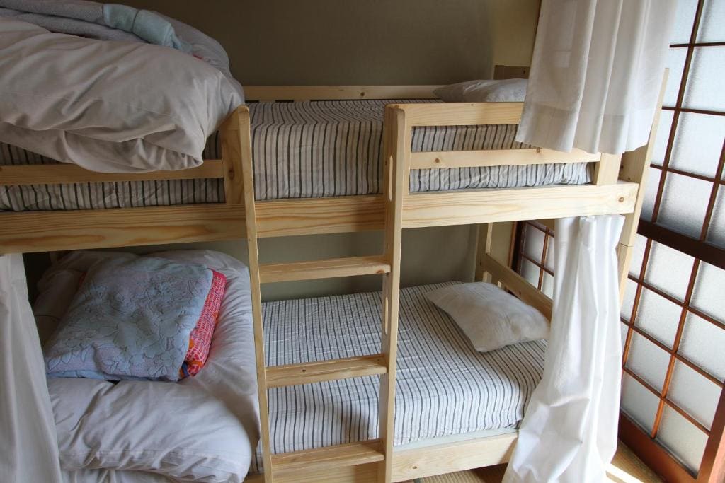 Bunk Bed in Mixed Dormitory Room room - Image 3