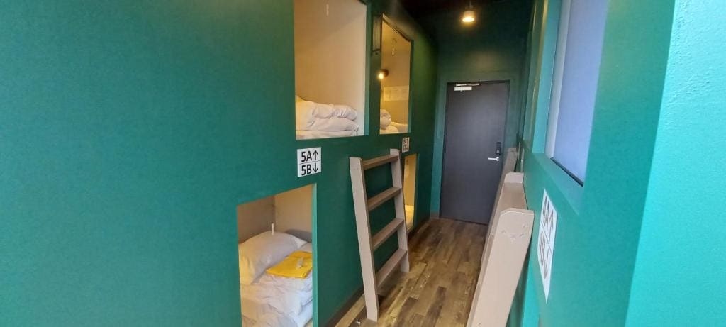Bunk Bed in Mixed Dormitory Room room - Image 2