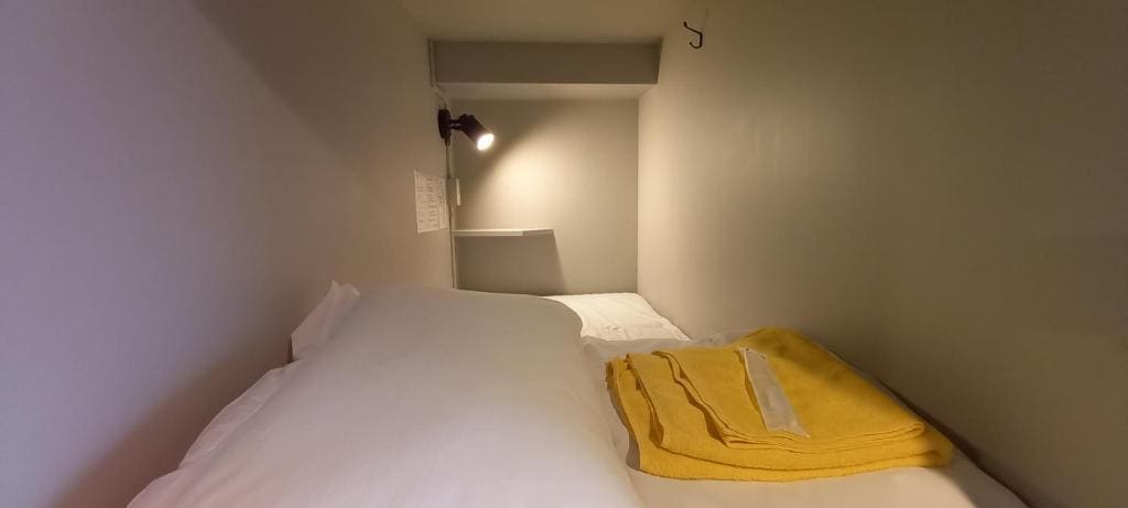 Bunk Bed in Mixed Dormitory Room room - Image 1
