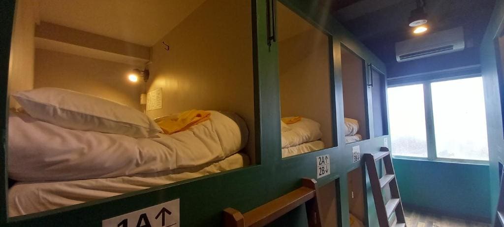 Bunk Bed in Mixed Dormitory Room room - Image 3
