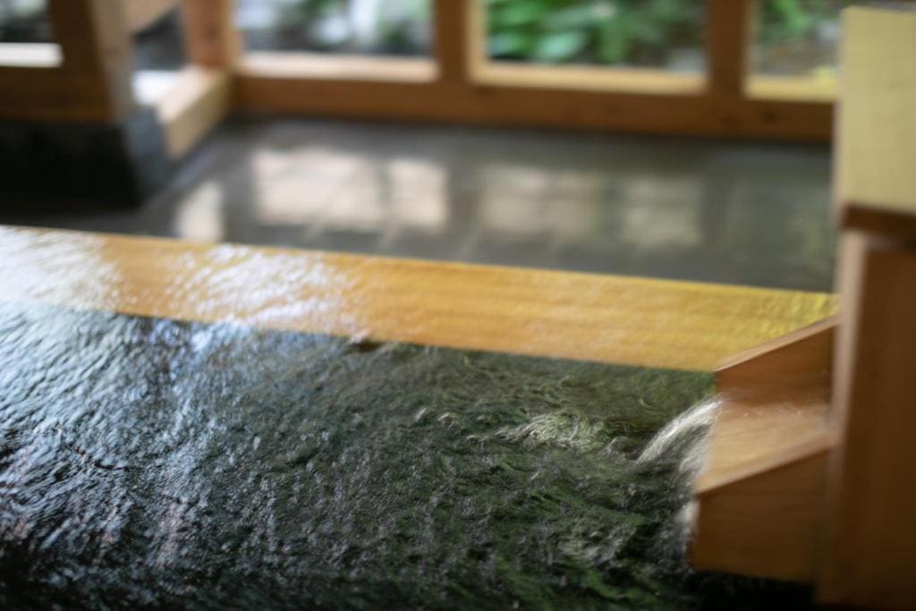 Japanese-Style Room with Open-Air Bath - Annex room - Image 2